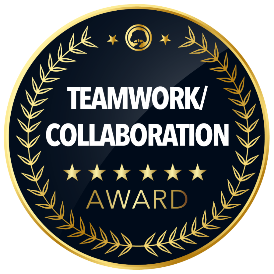 Teamwork / Collaboration Award